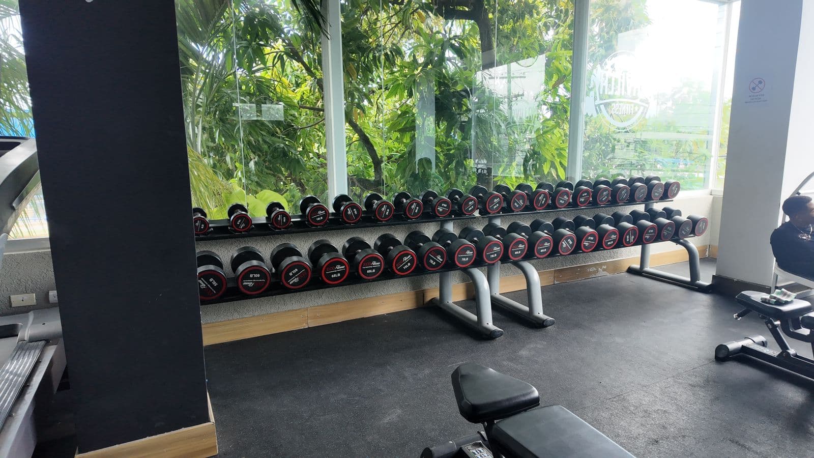 Gimnasio