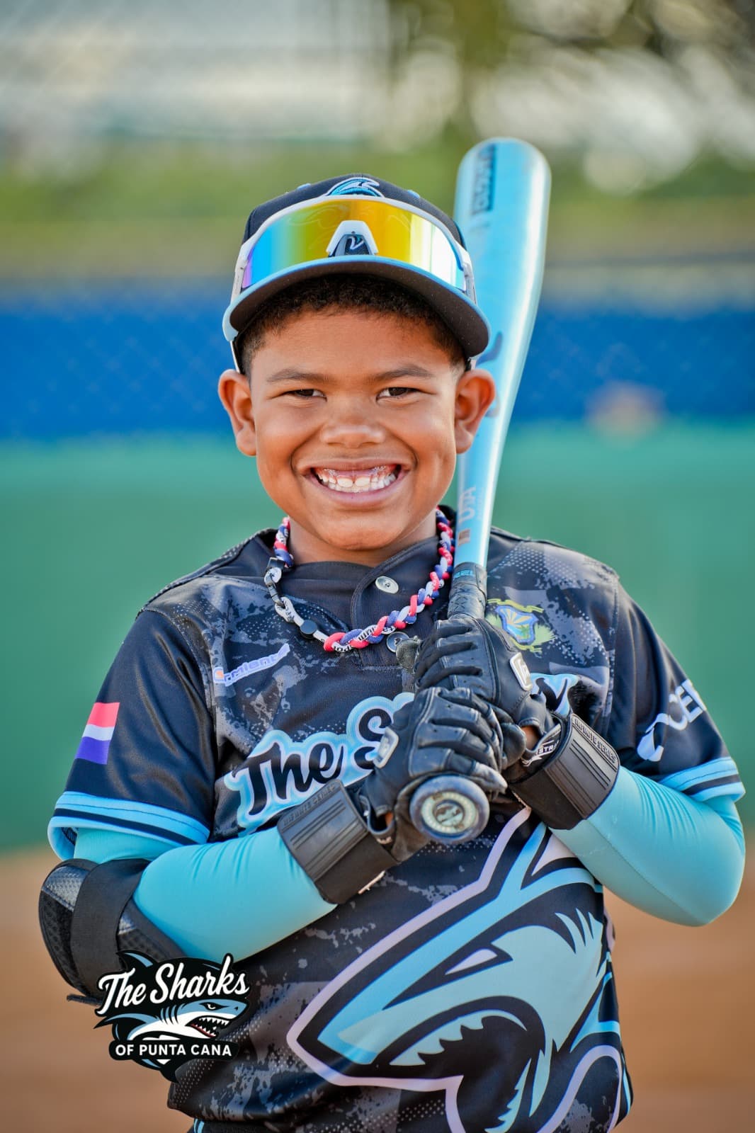 DANIEL ANDRES TOLENTINO MEDINA