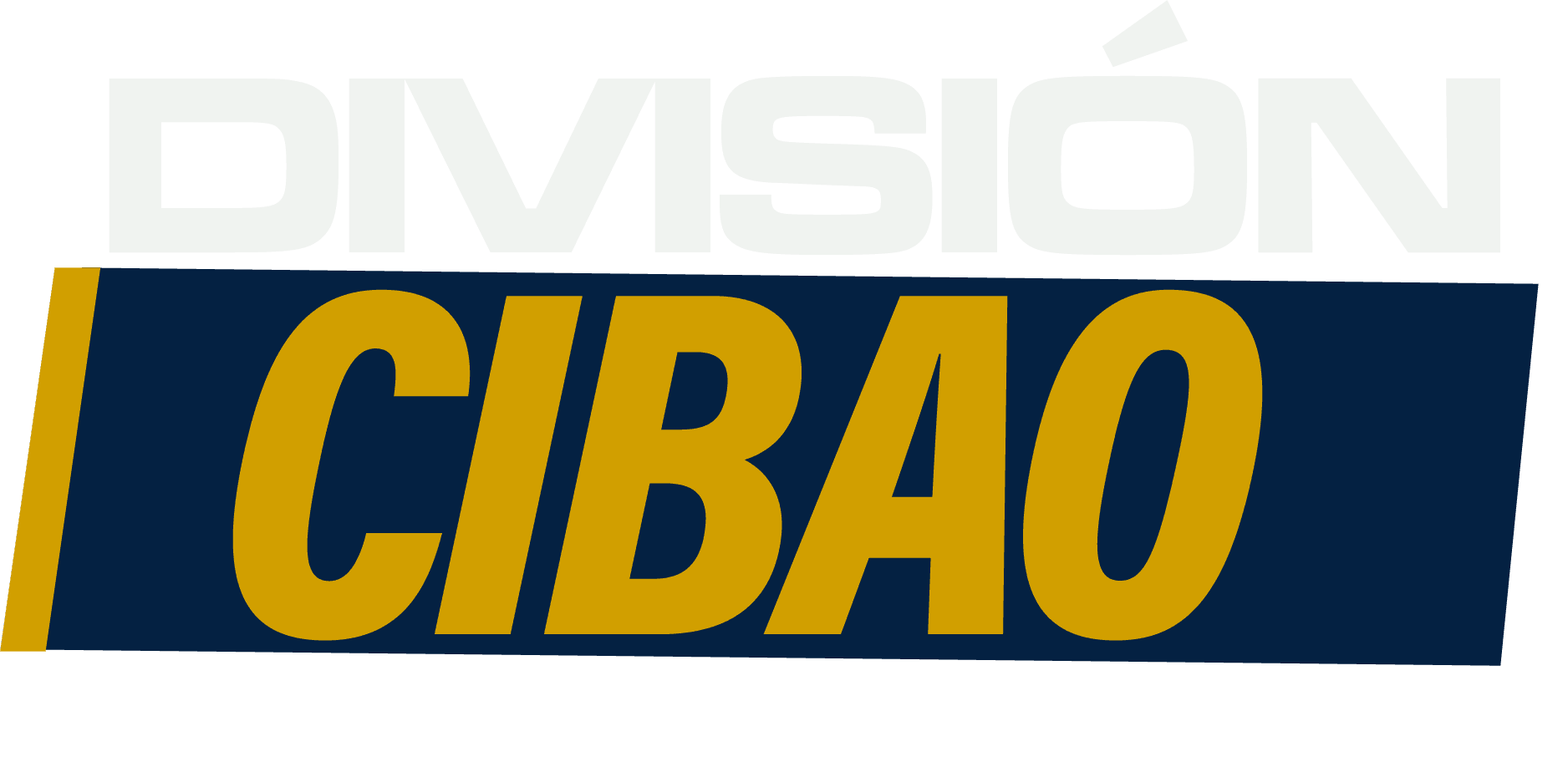 DIVISION CIBAO 1